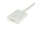 8pin Lightning Extension Adapter (Male-Female) for NEW iPhone / iPad / iPod 8pin Lightning Extension Adapter (Male-Female) for NEW iPhone / iPad / iPod