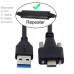 USB 3.0 Type-A (USB-A) to Panel Mount USB Type-C (USB-C) Male Cable USB 3.0 Type-A (USB-A) to Panel Mount USB Type-C (USB-C) Male Cable