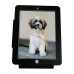 Anti-Theft iPad or Tablet Destop / Kiosk / Wall Mount / Shop POS Stand, Secure Lock Enclosure & Keys Anti-Theft iPad or Tablet Destop / Kiosk / Wall Mount / Shop POS Stand, Secure Lock Enclosure & Keys