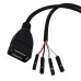 USB 2.0 A female to USB 4 Pin Dupont Motherboard Header Adapter USB 2.0 A female to USB 4 Pin Dupont Motherboard Header Adapter