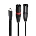 Dual XLR to USB Type C Professional Recording Audio Cable for Microphones Dual XLR to USB Type C Professional Recording Audio Cable for Microphones