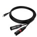 Dual XLR to USB Type C Professional Recording Audio Cable for Microphones Dual XLR to USB Type C Professional Recording Audio Cable for Microphones