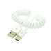 Coiled Retractable (Strecheable) USB-C Extension Cable (USB-A male to USB-C male) Coiled Retractable (Strecheable) USB-C Extension Cable (USB-A male to USB-C male)