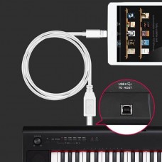 OEM iPhone / iPad Lightning Male to USB Type-B OTG Cable to Music Instruments / Guitar / MIDI OEM iPhone / iPad Lightning Male to USB Type-B OTG Cable to Music Instruments / Guitar / MIDI