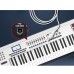OEM iPhone / iPad Lightning Male to USB Type-B OTG Cable to Music Instruments / Guitar / MIDI OEM iPhone / iPad Lightning Male to USB Type-B OTG Cable to Music Instruments / Guitar / MIDI