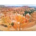 High Definition Super Wide Angle Lens for Mobile Phone / iPhone
