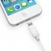 Super Long 5 Meter 16ft USB - Lightning Cable for Charging and Data Sync for iPhone Super Long 5 Meter 16ft USB - Lightning Cable for Charging and Data Sync for iPhone
