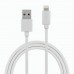 Super Long 5 Meter 16ft USB - Lightning Cable for Charging and Data Sync for iPhone Super Long 5 Meter 16ft USB - Lightning Cable for Charging and Data Sync for iPhone